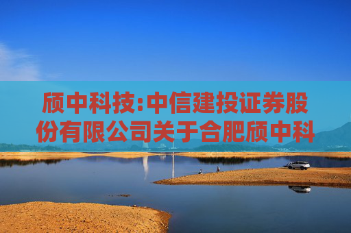 颀中科技:中信建投证券股份有限公司关于合肥颀中科技股份有限公司2025年远期结售汇业务的核查意见  第1张