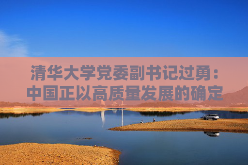 清华大学党委副书记过勇：中国正以高质量发展的确定性为世界经济提供“稳定锚”