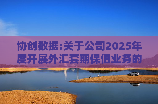 协创数据:关于公司2025年度开展外汇套期保值业务的公告