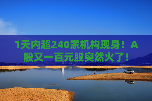 1天内超240家机构现身！A股又一百元股突然火了！