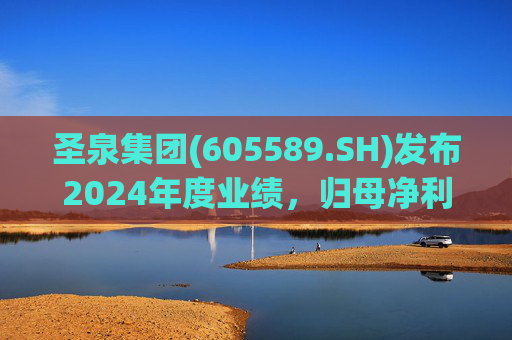 圣泉集团(605589.SH)发布2024年度业绩，归母净利润8.68亿元，同比增长9.94%  第1张
