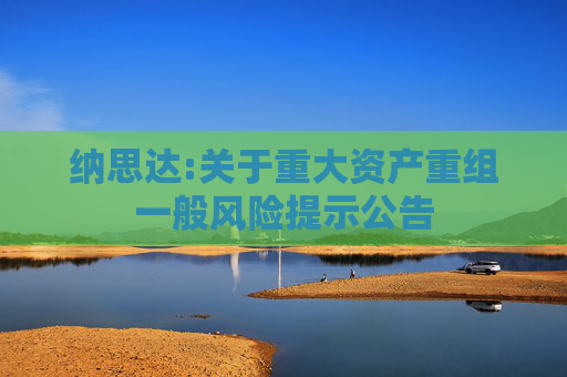 纳思达:关于重大资产重组一般风险提示公告