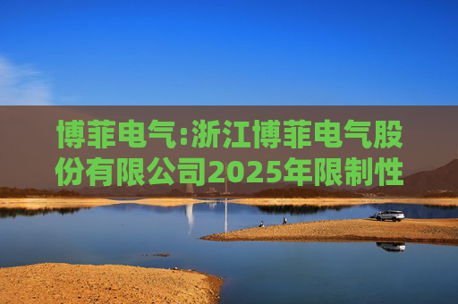 博菲电气:浙江博菲电气股份有限公司2025年限制性股票激励计划