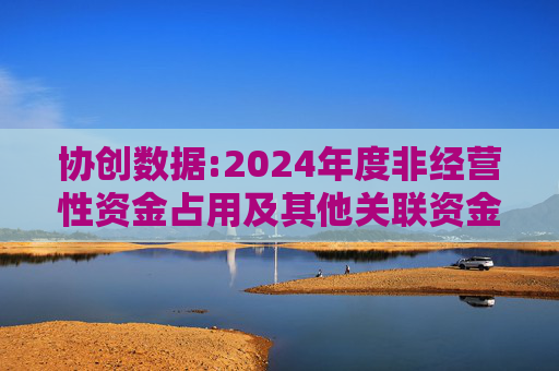 协创数据:2024年度非经营性资金占用及其他关联资金往来情况汇总表