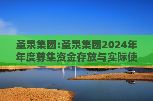 圣泉集团:圣泉集团2024年年度募集资金存放与实际使用情况的专项报告  第1张