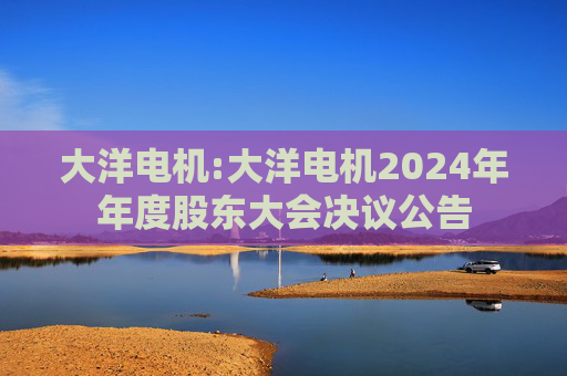 大洋电机:大洋电机2024年年度股东大会决议公告