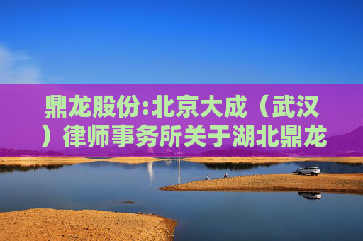 鼎龙股份:北京大成（武汉）律师事务所关于湖北鼎龙控股股份有限公司2024年年度股东大会的法律意见书