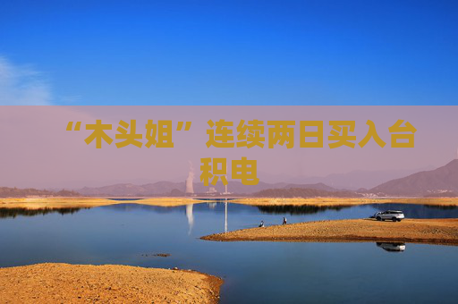 “木头姐”连续两日买入台积电