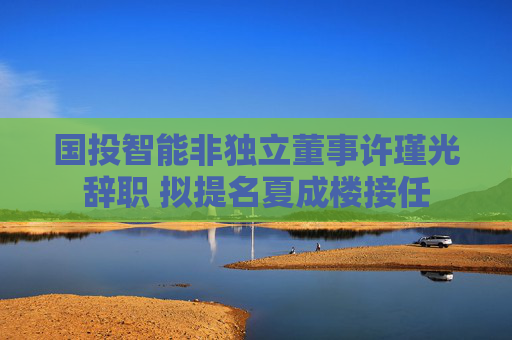 国投智能非独立董事许瑾光辞职 拟提名夏成楼接任