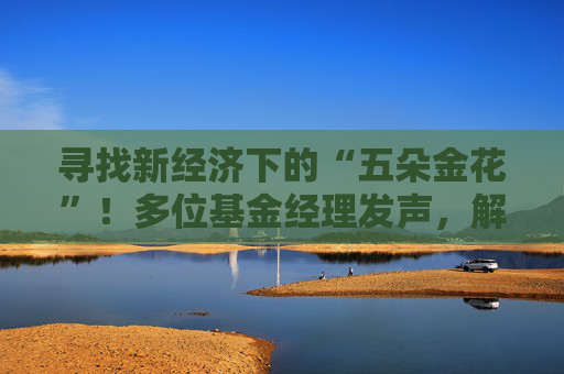 寻找新经济下的“五朵金花”！多位基金经理发声，解码崛起逻辑与投资暗礁
