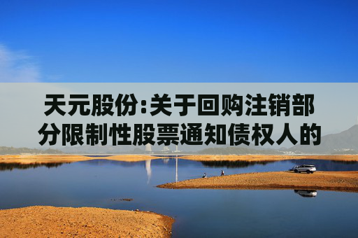 天元股份:关于回购注销部分限制性股票通知债权人的公告