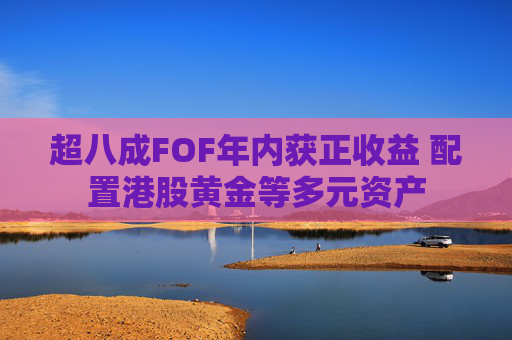 超八成FOF年内获正收益 配置港股黄金等多元资产