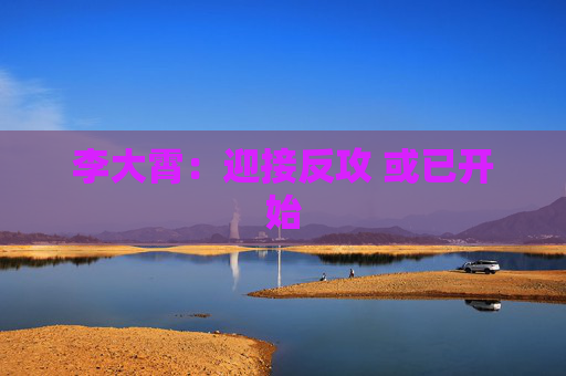李大霄：迎接反攻 或已开始  第1张