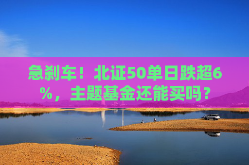急刹车！北证50单日跌超6%，主题基金还能买吗？