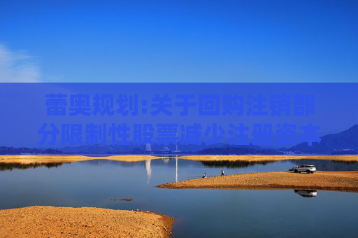 蕾奥规划:关于回购注销部分限制性股票减少注册资本暨通知债权人的公告