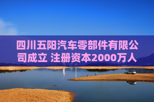 四川五阳汽车零部件有限公司成立 注册资本2000万人民币  第1张
