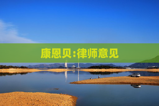 康恩贝:律师意见