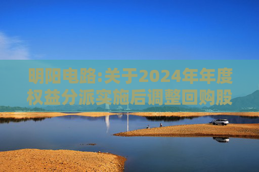 明阳电路:关于2024年年度权益分派实施后调整回购股份价格上限的公告