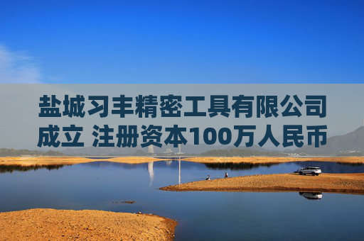 盐城习丰精密工具有限公司成立 注册资本100万人民币