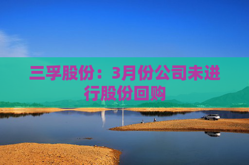 三孚股份：3月份公司未进行股份回购  第1张