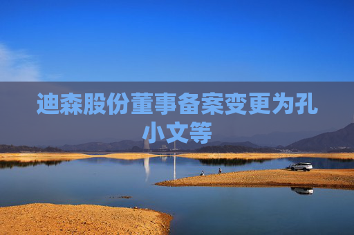 迪森股份董事备案变更为孔小文等
