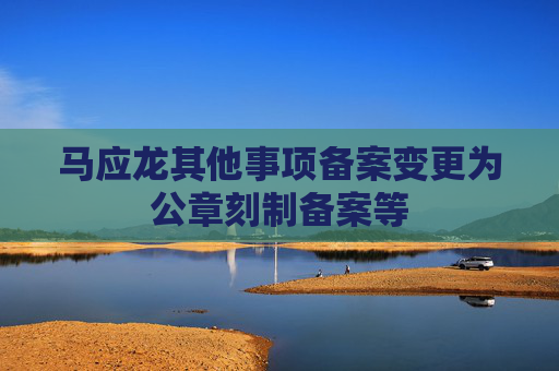 马应龙其他事项备案变更为公章刻制备案等