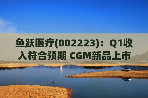 鱼跃医疗(002223)：Q1收入符合预期 CGM新品上市丰富增长动能