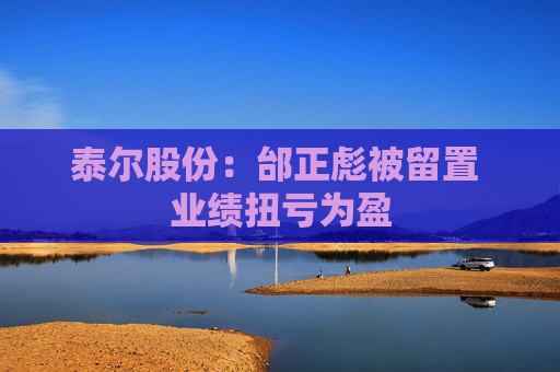 泰尔股份：邰正彪被留置 业绩扭亏为盈  第1张
