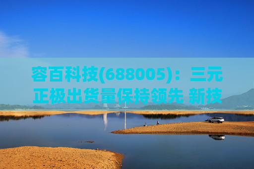 容百科技(688005)：三元正极出货量保持领先 新技术驱动未来成长