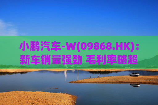 小鹏汽车-W(09868.HK)：新车销量强劲 毛利率略超预期  第1张