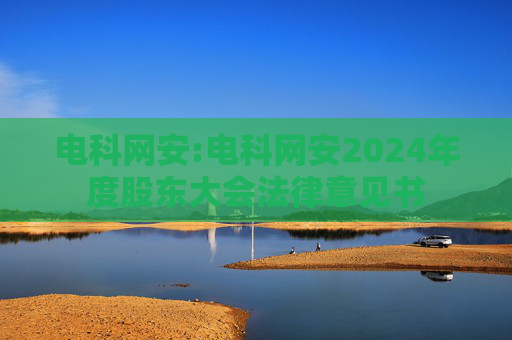 电科网安:电科网安2024年度股东大会法律意见书