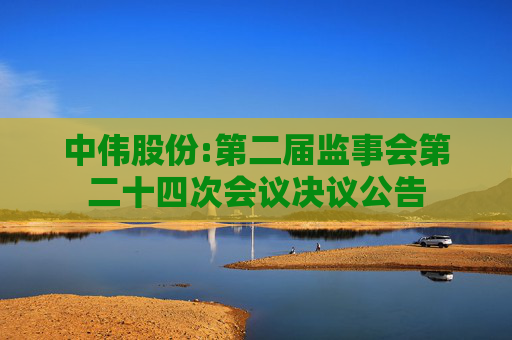 中伟股份:第二届监事会第二十四次会议决议公告
