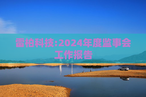 雷柏科技:2024年度监事会工作报告  第1张