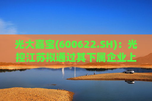 光大嘉宝(600622.SH)：光控江苏拟通过其下属企业上海安瑰向公司提供总额不超4亿元的财务资助  第1张