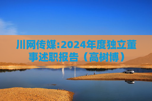 川网传媒:2024年度独立董事述职报告（高树博）