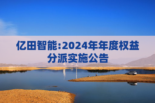 亿田智能:2024年年度权益分派实施公告