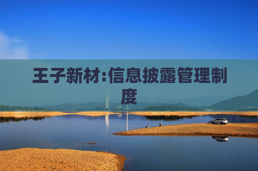 王子新材:信息披露管理制度  第1张