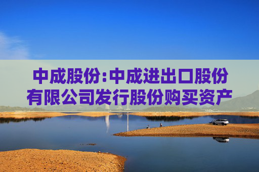 中成股份:中成进出口股份有限公司发行股份购买资产并募集配套资金暨关联交易预案  第1张