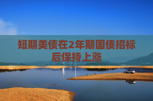 短期美债在2年期国债招标后保持上涨