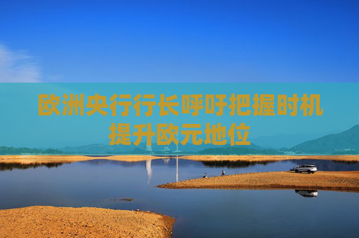 欧洲央行行长呼吁把握时机提升欧元地位