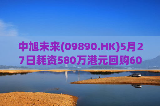 中旭未来(09890.HK)5月27日耗资580万港元回购60万股  第1张