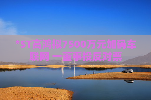 *ST高鸿拟7500万元加码车联网 一董事投反对票