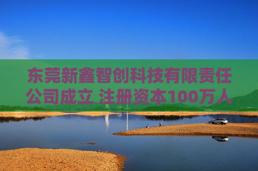 东莞新鑫智创科技有限责任公司成立 注册资本100万人民币