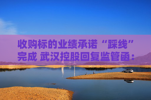 收购标的业绩承诺“踩线”完成 武汉控股回复监管函：不存在提前确认收入情形