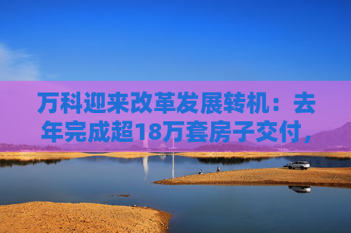 万科迎来改革发展转机：去年完成超18万套房子交付，今年一季度公开债已兑付