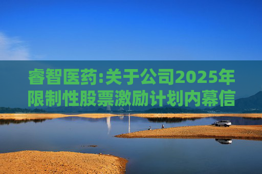 睿智医药:关于公司2025年限制性股票激励计划内幕信息知情人及激励对象买卖公司股票情况的自查报告