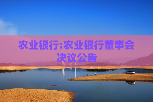 农业银行:农业银行董事会决议公告