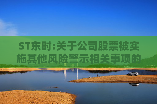 ST东时:关于公司股票被实施其他风险警示相关事项的进展公告