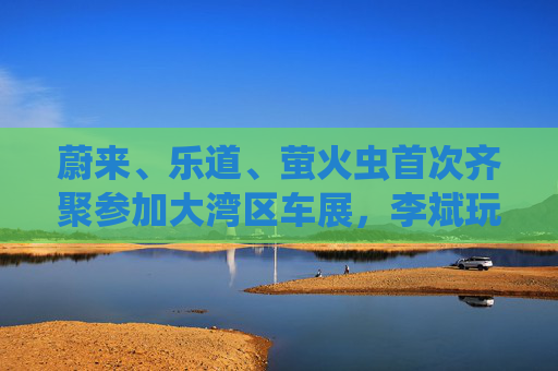 蔚来、乐道、萤火虫首次齐聚参加大湾区车展，李斌玩起谐音梗“为了赢”