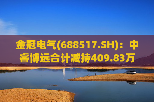 金冠电气(688517.SH)：中睿博远合计减持409.83万股股份